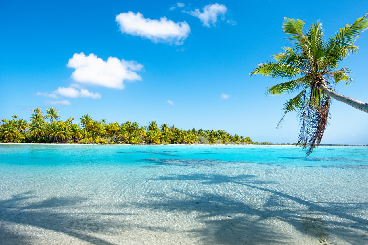 lagon