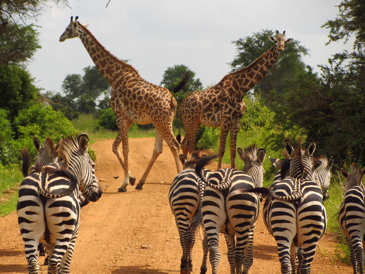 UN EXPLOIT TANZANIE