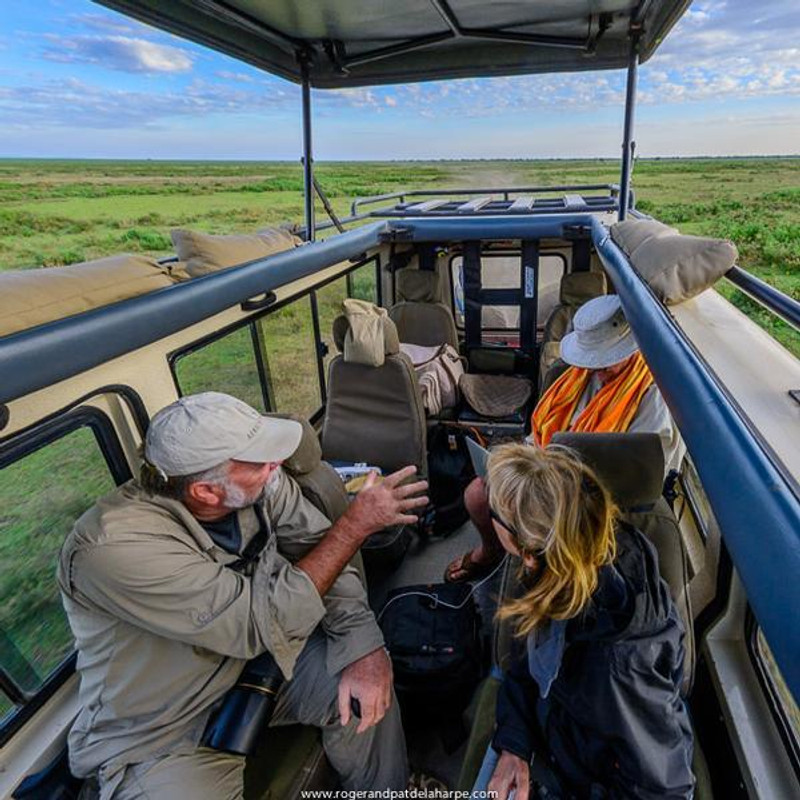 In Game Drive in safaris