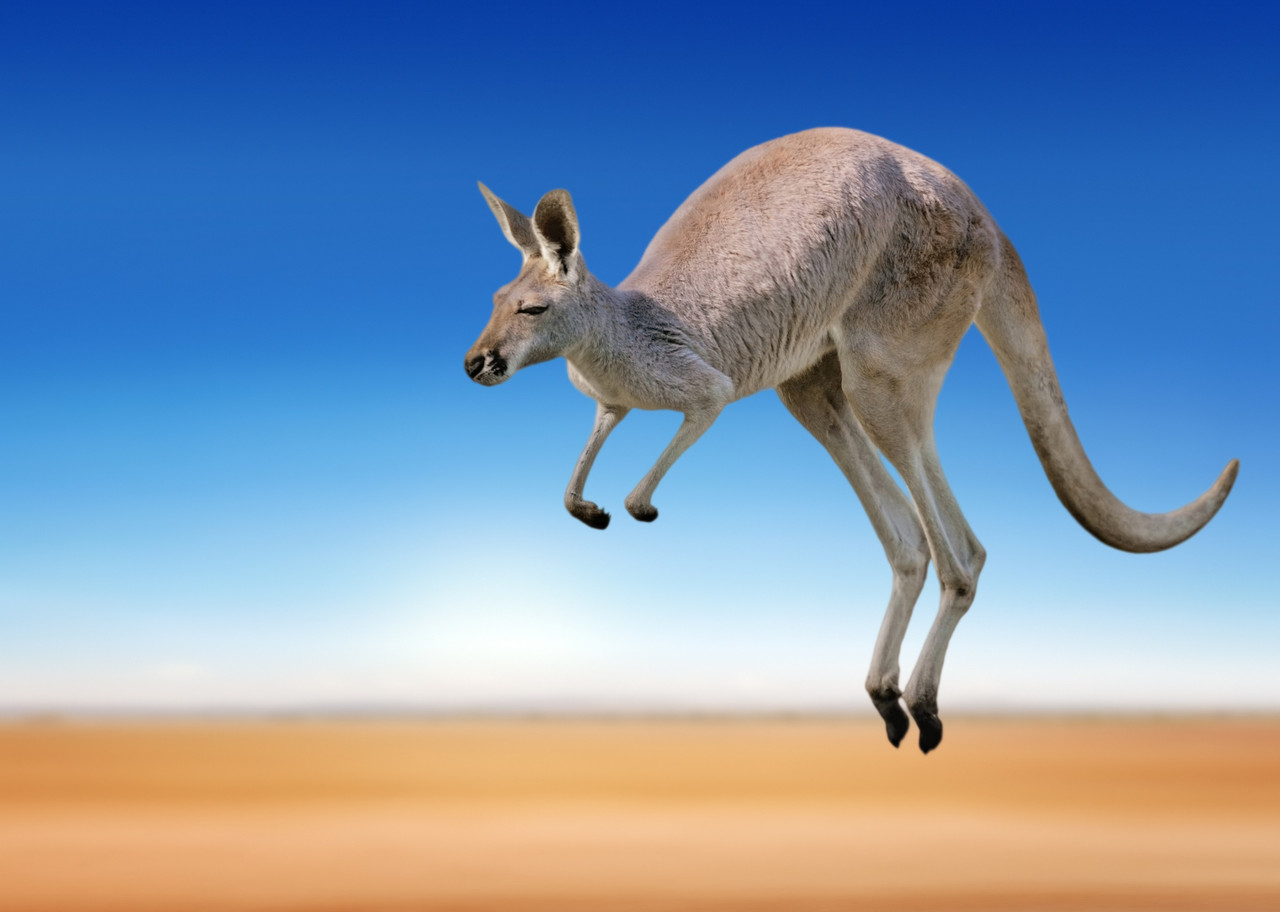 Incontournables d'Australie