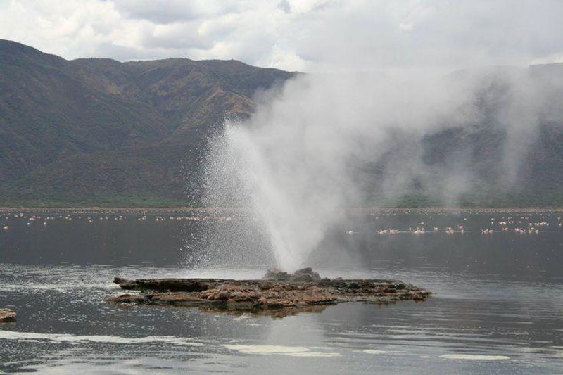 Nakuru-Lake Bogoria Day Trip
