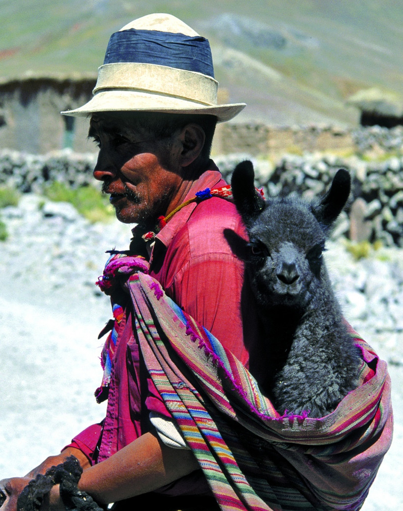 Caravane Andine Traversée des Andes au rythme des mules de l'Altiplano