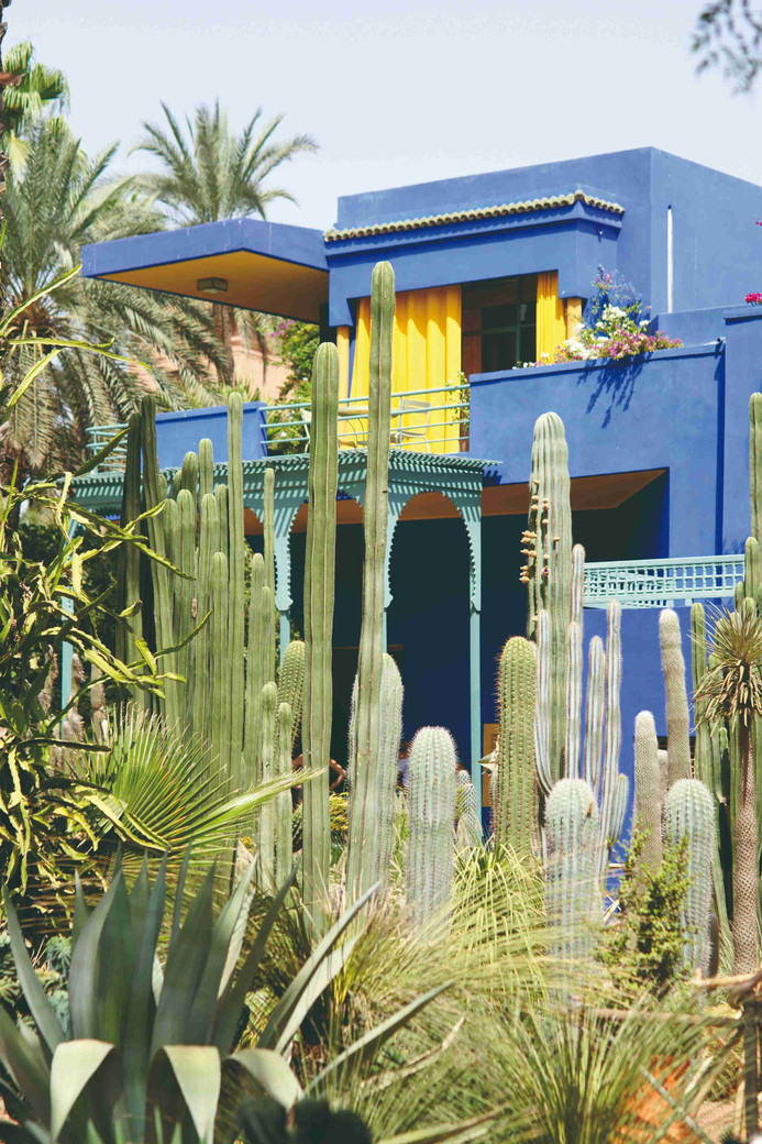 Marrakech Essaouira et Montagne de l'Atlas sur 1 semaine