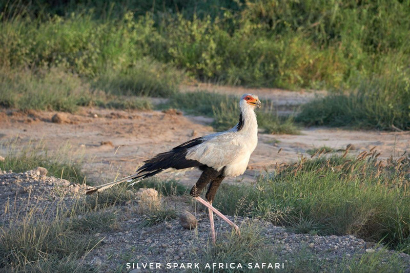 4-Day Game Maasai Mara with Lake Naivasha Geographical