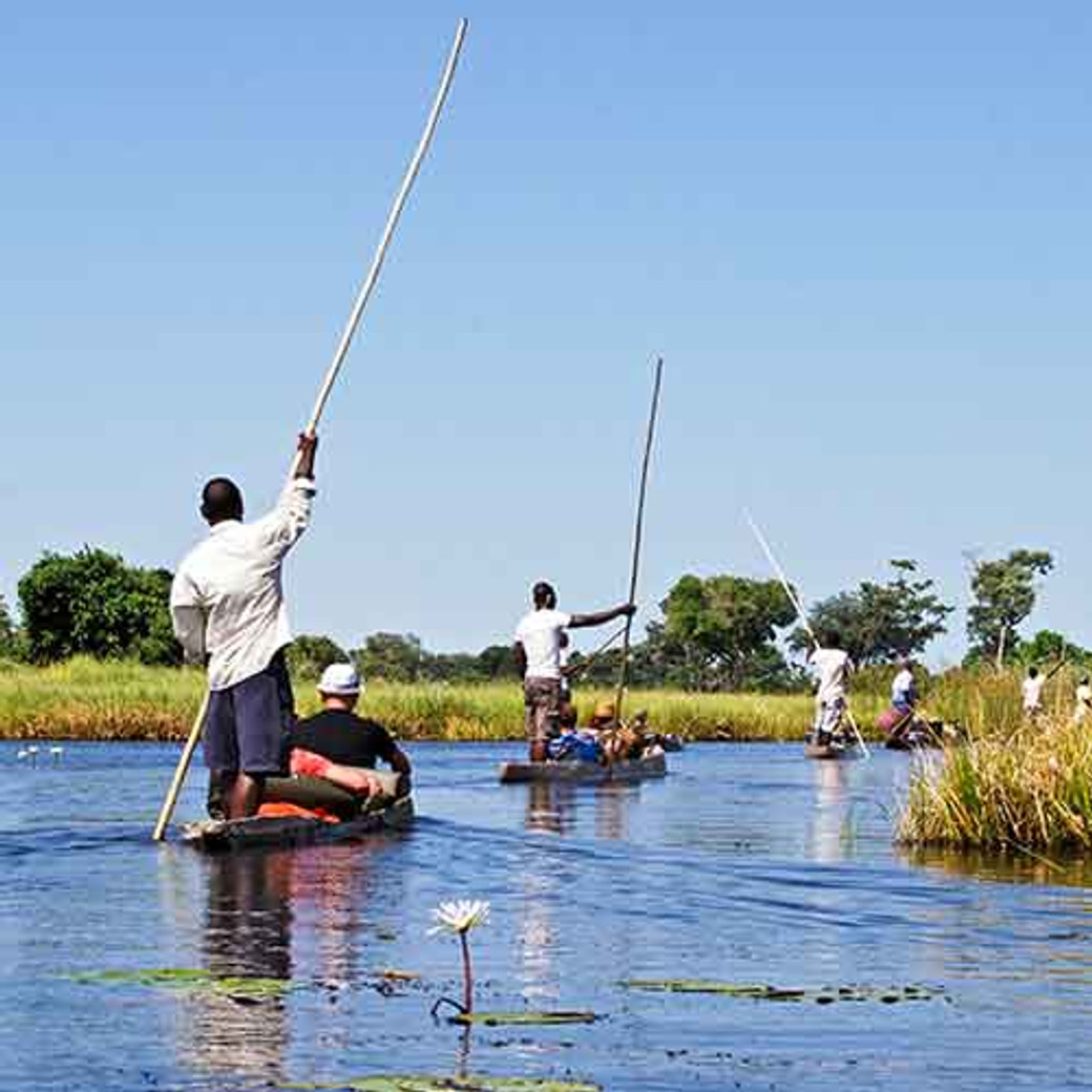 11 jours de safari au Botswana