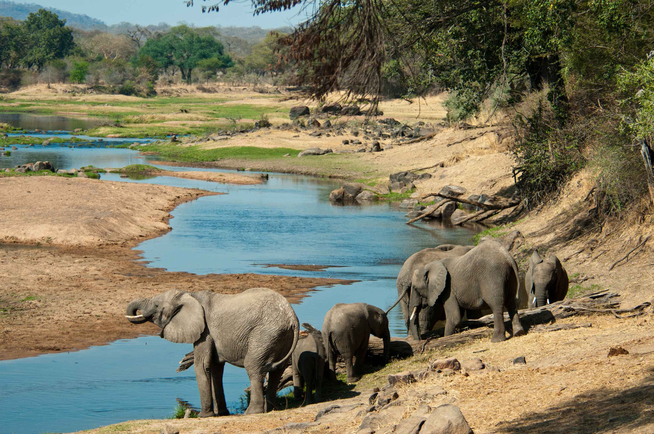 Les incontournables de la Tanzanie