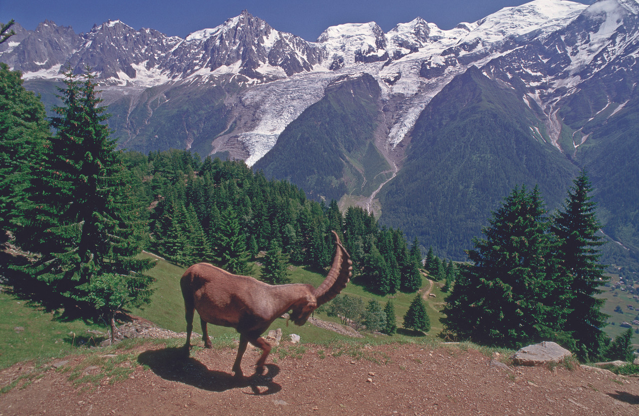 A la découverte des Alpes