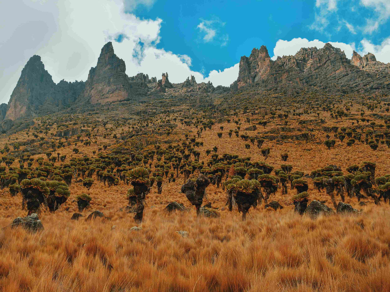 Le parc national du Serengeti