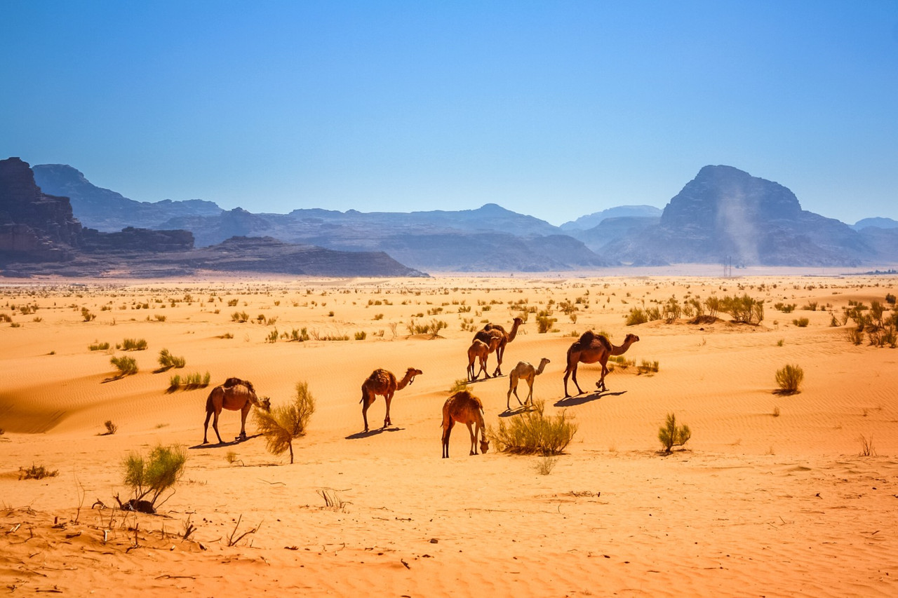 Le meilleur de la Jordanie en une semaine