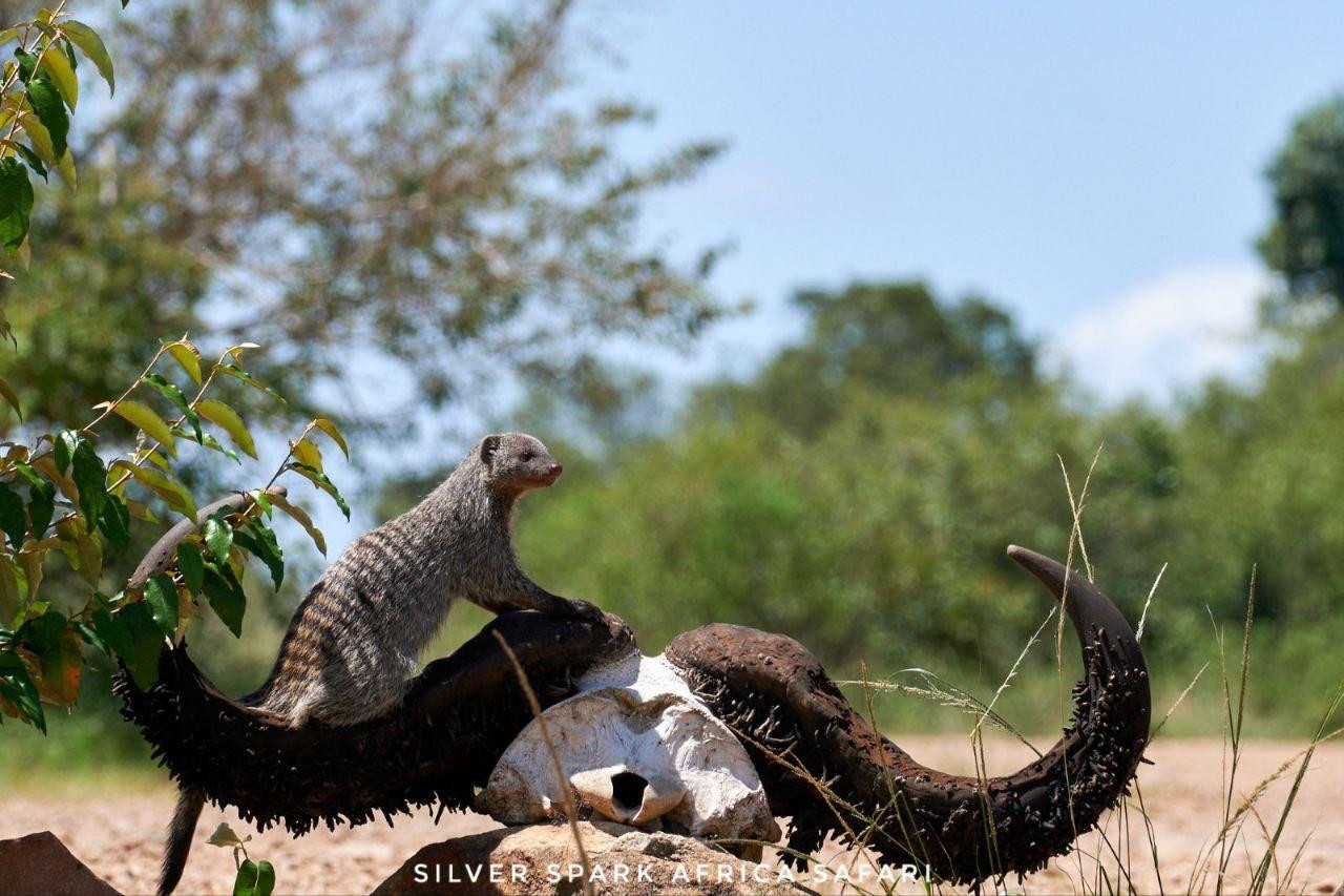 4-Day Game Maasai Mara with Lake Naivasha Geographical