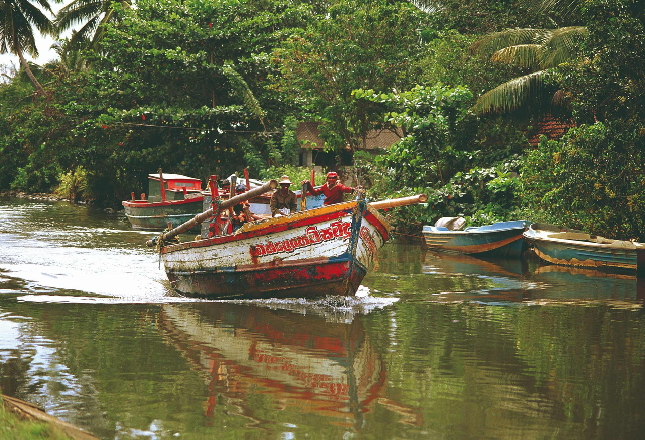 Escapade romantique au Sri Lanka