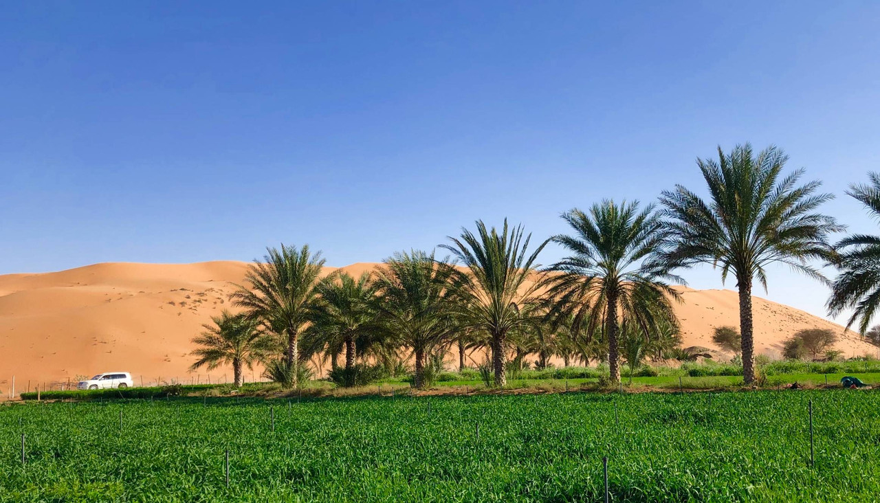 Oman, Mille et une nuits