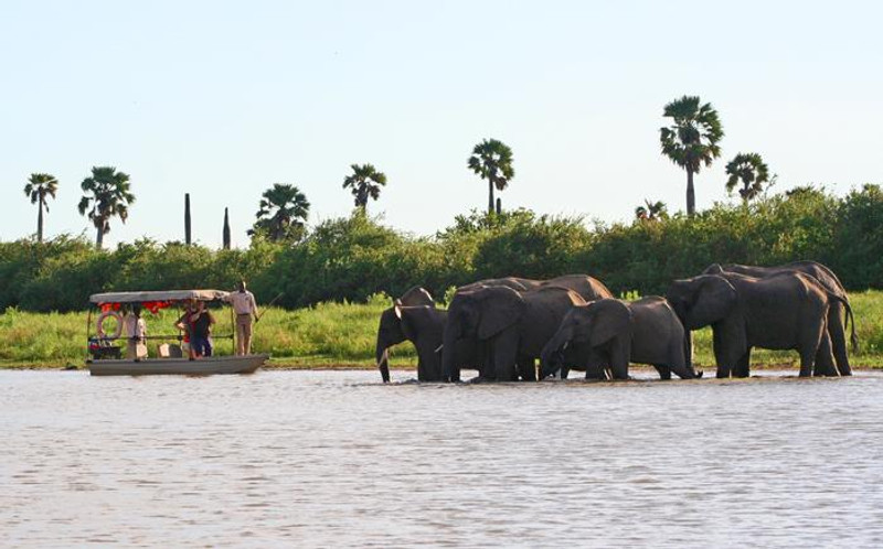 Safari de 4 jours à la réserve de Selous