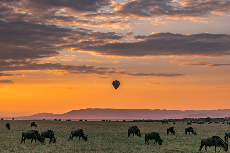 Option - Safari en ballon dans le Serengeti et observation des animaux sauvages