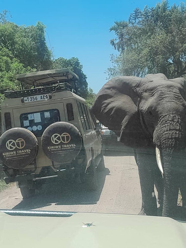 Arusha Town – Tarangire NP - FB