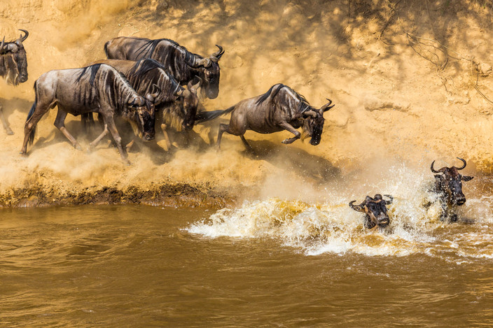 Masai Mara