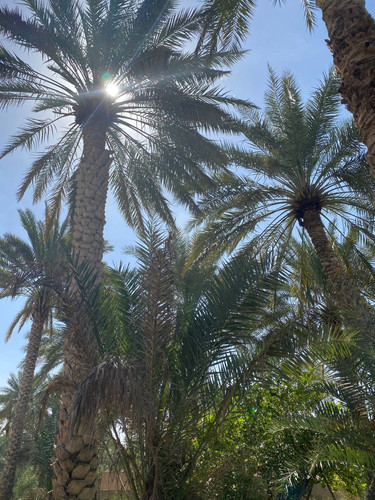Wadi Bani Khalid Wahiba Sands: 285 km