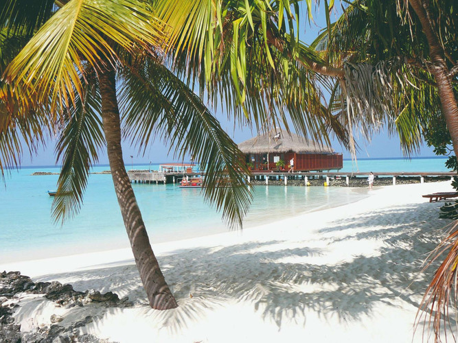 Bungalow Deluxe Front de Mer