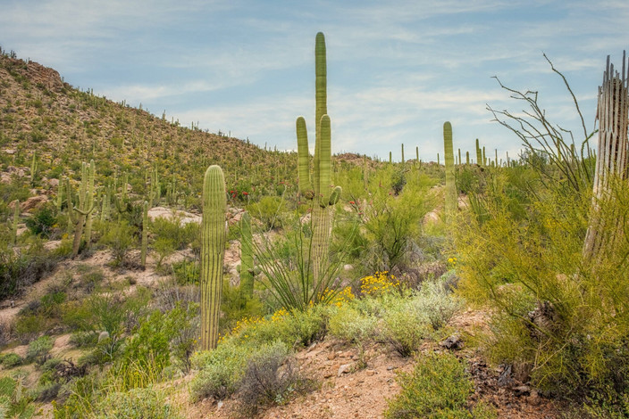Aventure sur l'Apache Trail