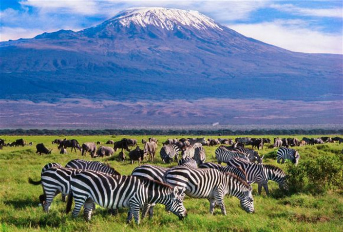 Fly to Amboseli National Park – Majestic Mountain Views