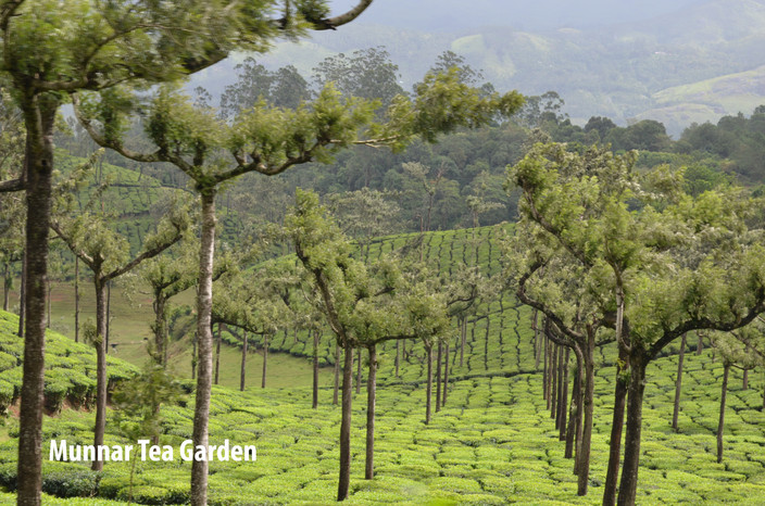 Munnar