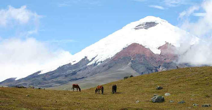 Visite du Parc Cotopaxi