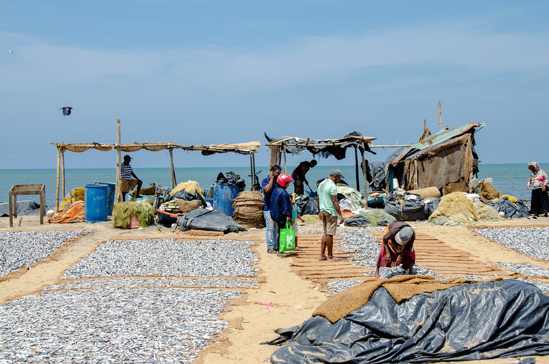 Arrivée au Sri-Lanka et détente à Negombo