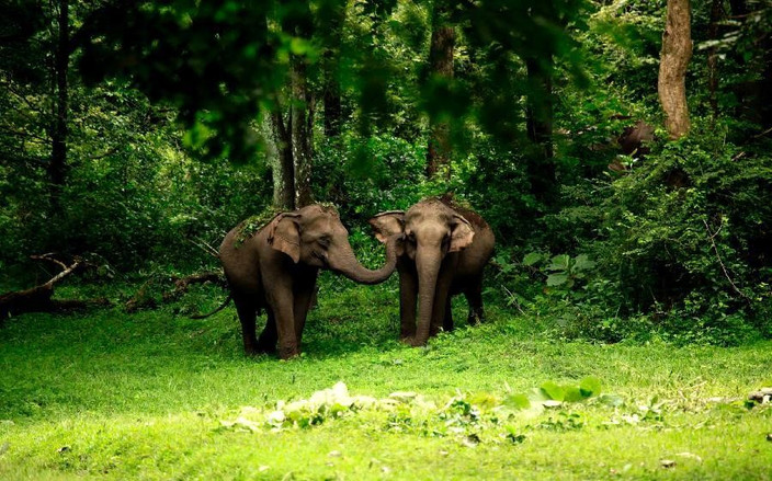 Periyar
