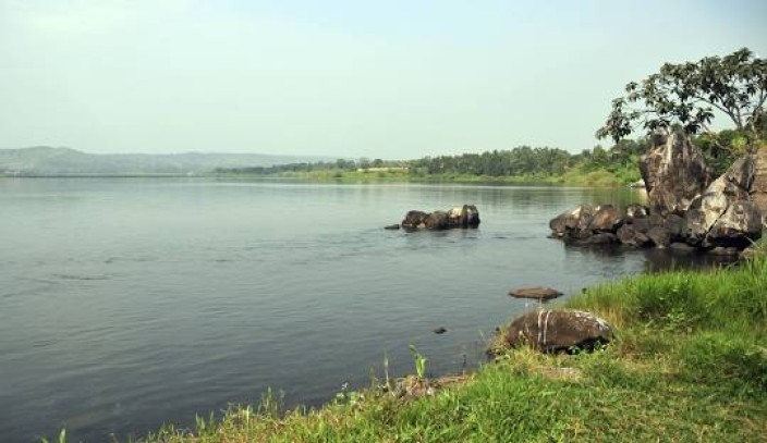 Een 1-daagse Mabamba-moeras Shoebill Spot