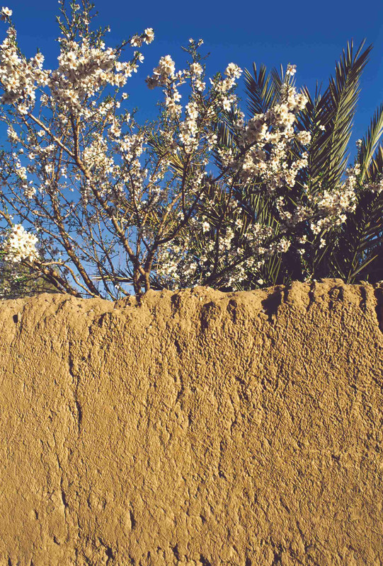 Skoura - Tineghir