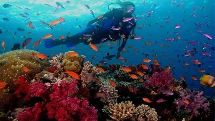 Leisure in Hurghada