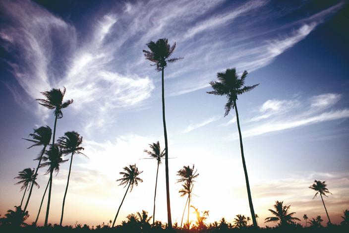 Alentours d'ELLA - BATTICALOA : Safari en bateau