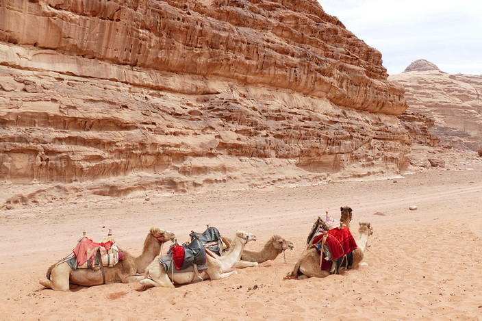 11eme jour : WADI RUM (SIQ ALBARRAH - BURDAH)
