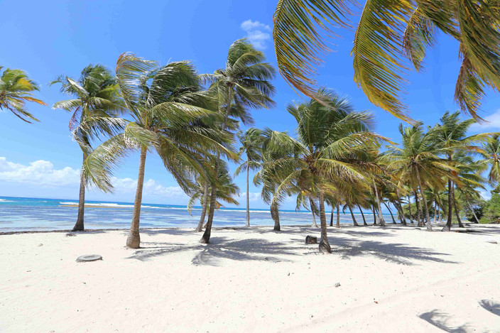 Arrivée en Guadeloupe - Saint François