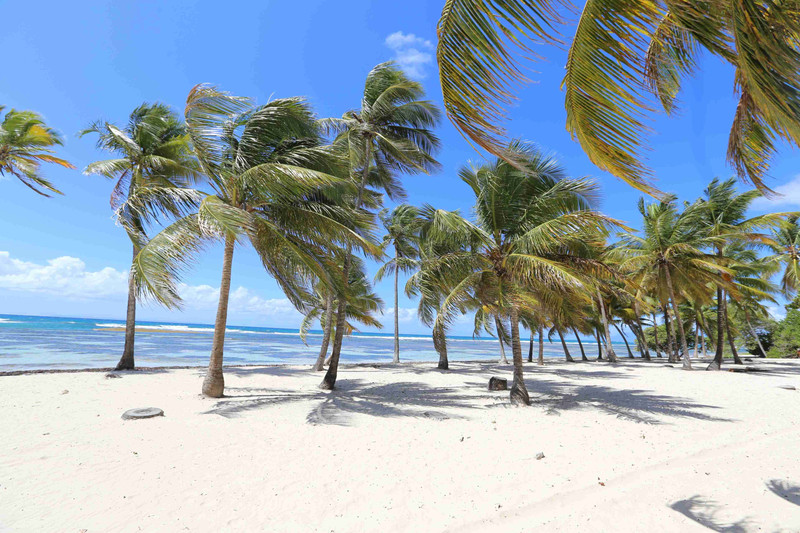 Arrivée en Guadeloupe - Saint François