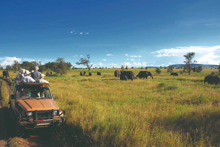 Expérience d'une journée dans le parc national du nord du Serengeti