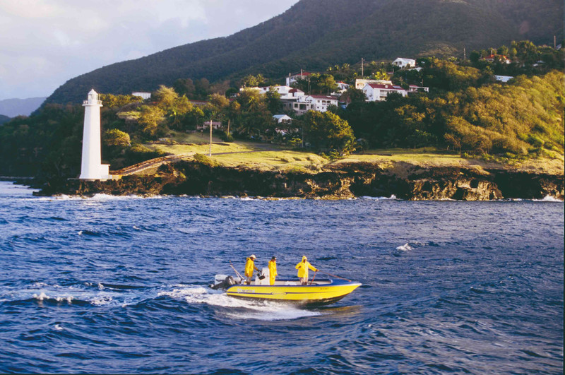Kayak avec les tortues et jardins enchantés en Basse Terre