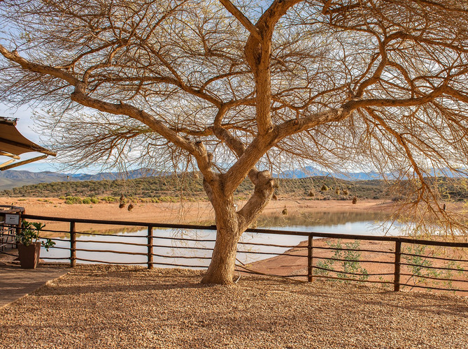 Parc national du Serengeti