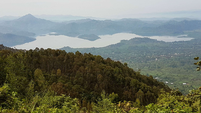 Trekking avec des Singes et balade en canoë
