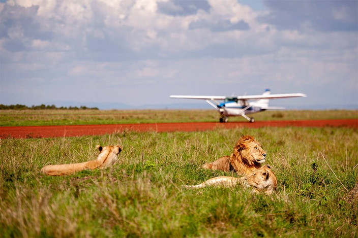 Fly to Maasai Mara – Enter the Iconic Savannah