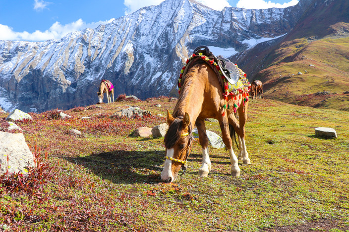 Besham ou Naran