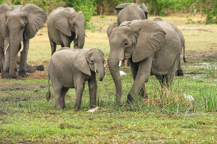 Départ du cratère du Ngorongoro vers la ville d'Arusha