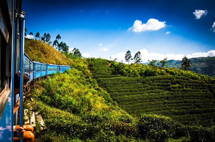 KANDY - NUWARA ELIYA (95Kms - 03h15)