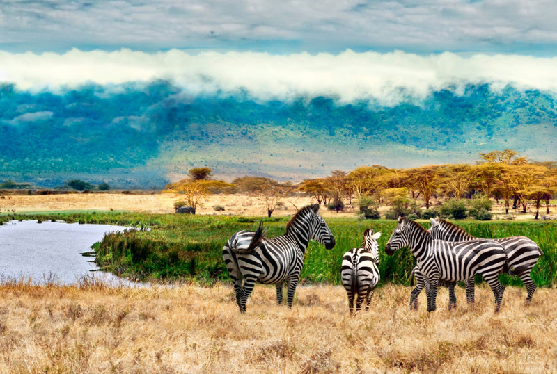 Cratère du Ngorongoro - Parc national du Serengeti