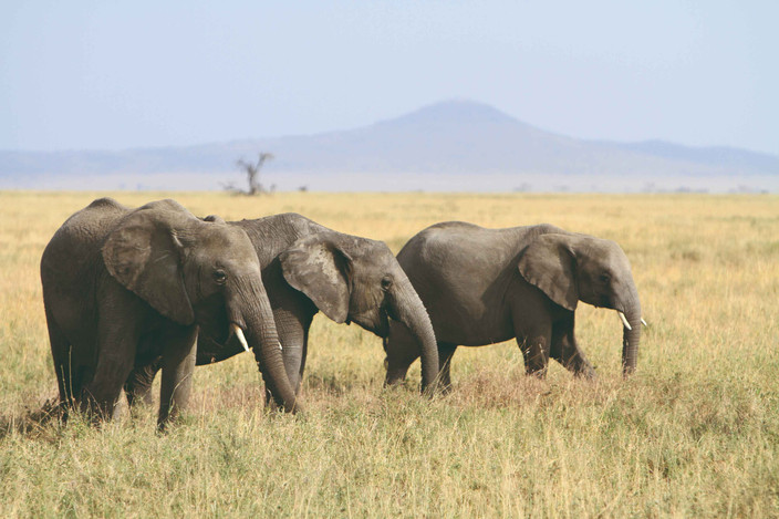 Serengeti National Park