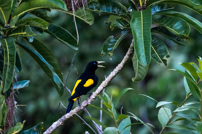 Rurrenabaque - La Paz