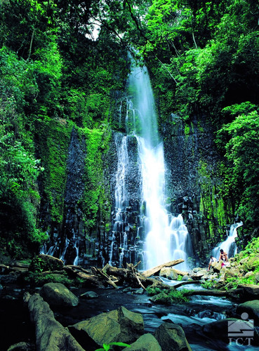 Monteverde - Uvita (3h30)
