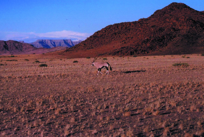 Sesriem National Park - Naukluft Mountain Zebra Park