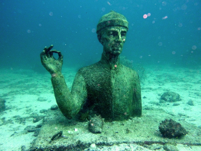 Plongée dans la Réserve Cousteau