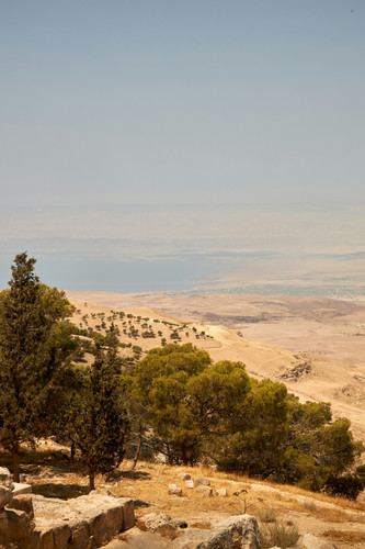 Amman - Madaba - Mont Nebo - Kerak - Petra